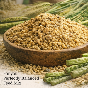 Guar Roasted Meal/Korma